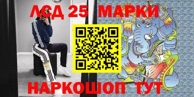гашик Славгород
