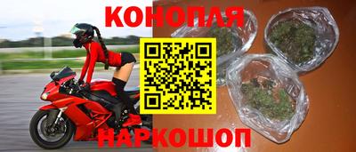 гашик Славгород