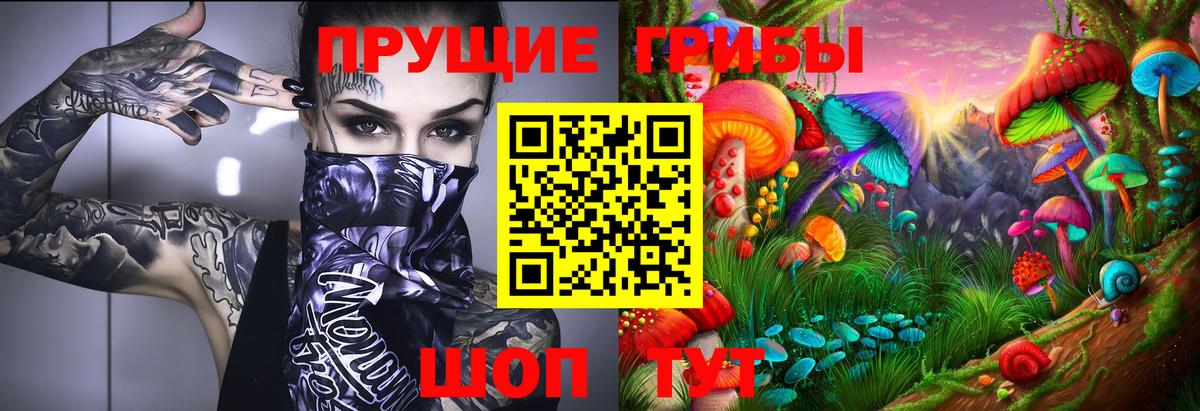Галлюциногенные грибы ЛСД Новороссийск