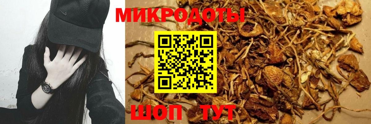 Новороссийск  Псилоцибиновые грибы GOLDEN TEACHER  даркнет сайт  Вход с VPN 