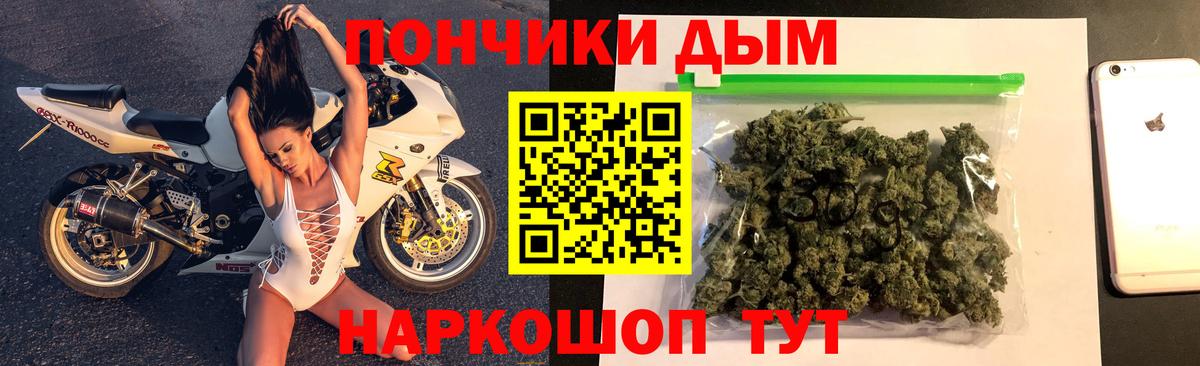Бошки Шишки план Новороссийск